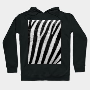 Zebra Stripes Hoodie